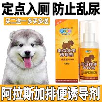Alaska Pooch on Toilet Pinpoint Defecation Inducing Agents to Prevent Pet Dogs Mess with Urinating Urine and Relieving Nature