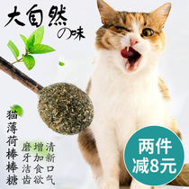 Cat Lollipop Cat Toys Cat Toys Cat Grass Snacks Grass Grass Snacks Grass Kitten Kittens Kittens Kittens Supplies Mint Ball