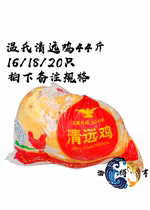 Guangdong Qingyuan Chicken Harbor Style Roast Meat Crystal Chicken Raw Material 1 Case 44 Catty 18 18 20 22 22 Only Frozen Whole Boxes For Sale