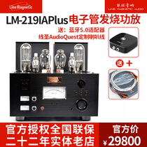 New Lili Magnetic LM-219PLUS Bile Machine Single-ended Class A Power Amplifier 300B Push 845