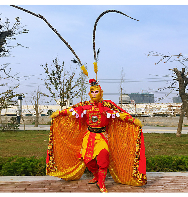 孙悟空衣服齐天大圣套装美猴王演出服西游记舞台表演服装刺绣套装