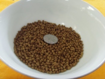 Nanjing Hous bird food Thrush bird food-60 yuan 1000 grams of thrush singing bird special material