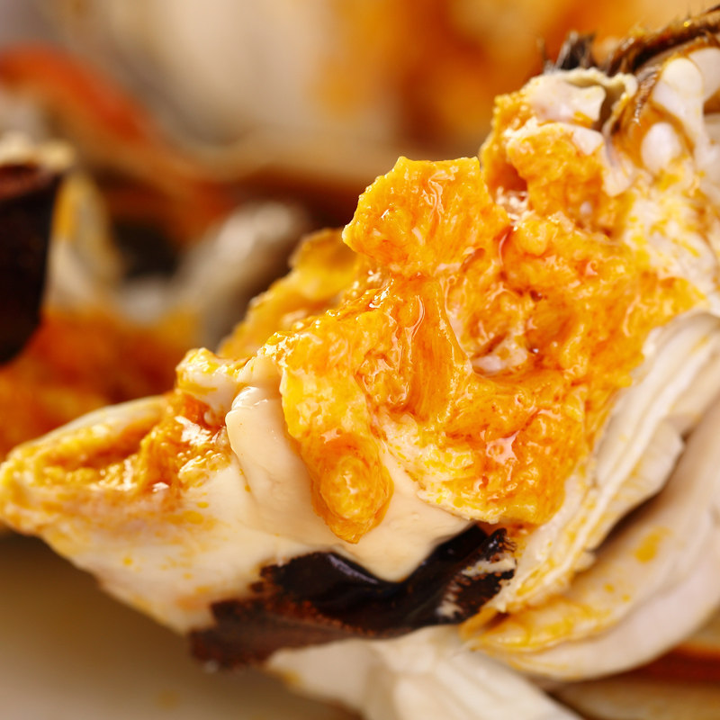 天猫10只4斤兴化红膏大闸蟹螃蟹礼盒装