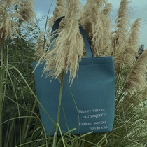 TabulaRasa x Gooeymead cooperation original design commuter felt bag daily casual fashion