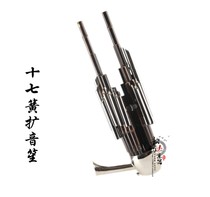 Sheng Musical Instrument Specialty 17 seventeen Spring Enlarged Soundtrack Sheng Natural Purple Bamboo Plated Brass