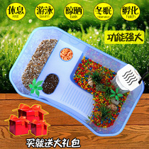 Large and small turtle tank Villa land and water tank Brazil tank with sun table Turtle breeding box Hatching with drainage turtle basin landscaping