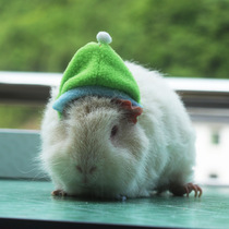 Hamster Hat Holland Pig Hat Dragon Cat Christmas Hat Small Pet Rabbit Clothing Hat Squirrel Lei Feng Hood Honey Bag Hat