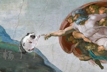 How many yuan is the difference between the shipping fee and the link? How many pieces are taken?