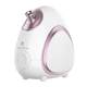 Mex Face Steamer Hot and Cold Double Spray Nano Spray Hydrating Device Face 보습 된 모공 뷰티 페이스 스티머 Mex Face Steamer Hot and Cold Double Spray Nano Spray Hydrating Device Face 보습 된 모공 뷰티 페이스 스티머