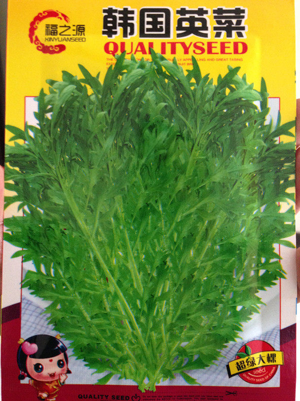 东北蔬菜种子籽 樱菜籽 樱菜英菜种子籽 韩国家家必备15克