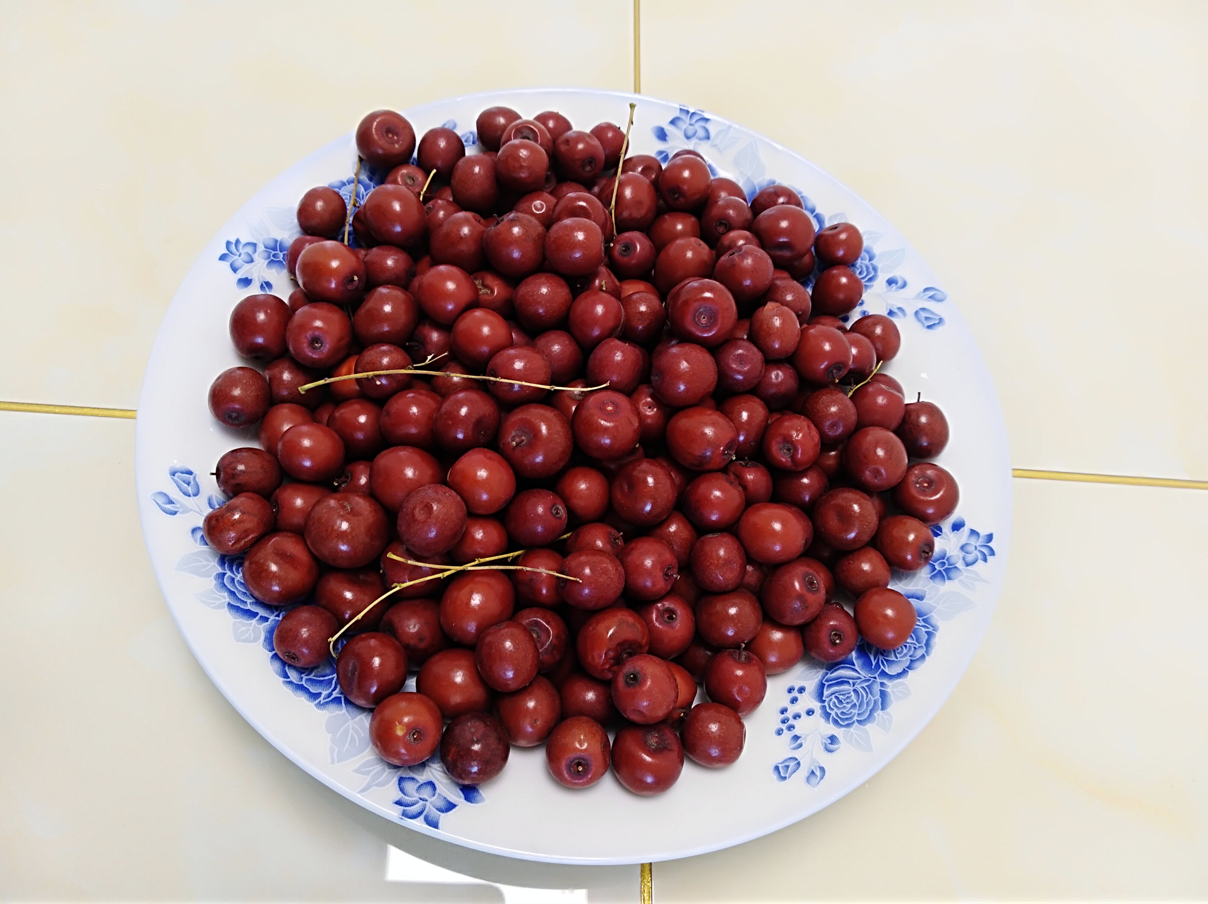 酸枣纯野生山枣东北农村大山枣手摘新鲜酸枣酸枣仁一斤包邮