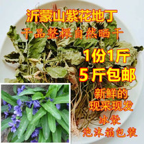 Wild Fresh Dry Pint Purple Flower Tingtin Chinese Herbal Medicine Bitter Tingtin Herbal Tea Wild Cordiano with small chicken dish 500g