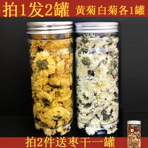 Chamomile tea special grade yellow Mountain Gongju Chrysanthemum Tea Yellow Tribute White Chrysanthemum chamomile Chrysanthemum Beads 2 jars