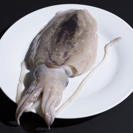 东海新鲜大墨鱼500g 1斤1-2个 江浙沪皖3斤包邮 限区域5斤包邮_7折