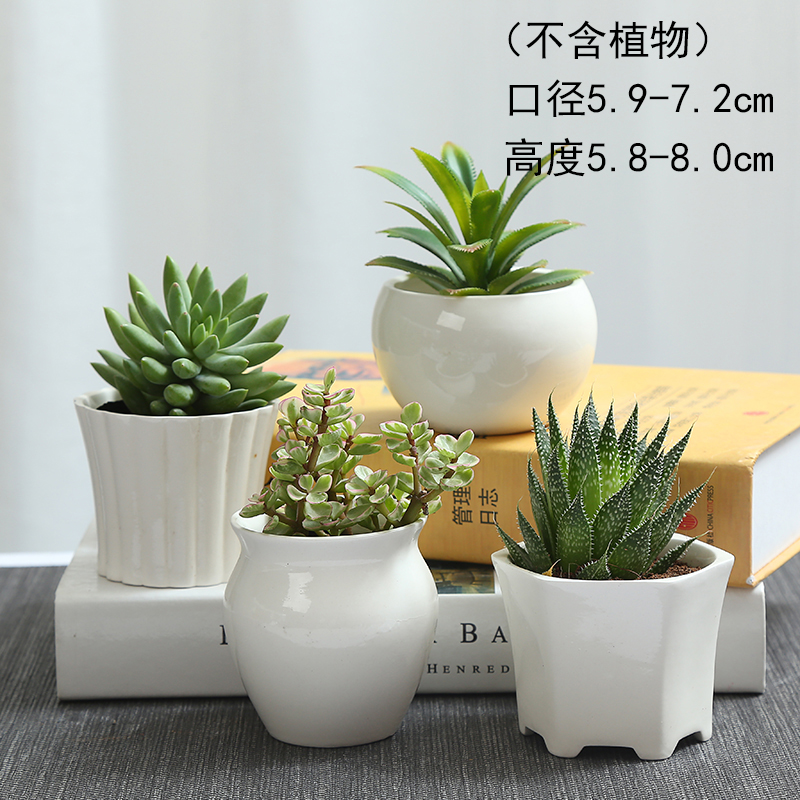 TaoXin language element burn coarse pottery breathable meaty plant flowerpot wining just large fleshy flowerpot platter green plant POTS