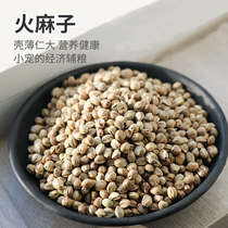 Parrot bird hamster squirrel big eye flying squirrel food food feed snacks raw hemp seed hemp big grain bright hair