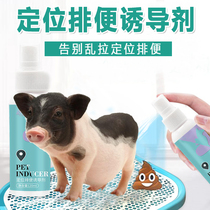 Small Fragrant Pig Toilet Inducing Agent Relieving of defecation and defecation Pet Pet Pet Swine Training Toilet Fluid Pull Shit Pee Guide Supplies