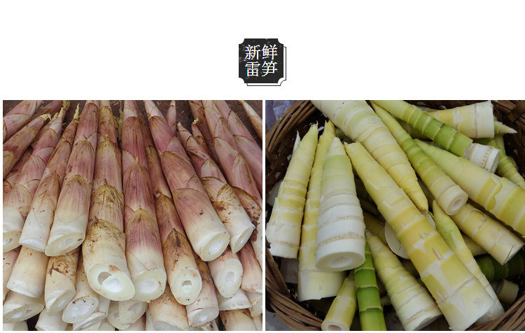 6罐*397克 奉化油焖笋 甬星油焖笋宁波特产新鲜竹笋即食原味
