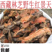 500g Tibet Nyingchi natural rhodiola with skin villagers go up the mountain to dig rinse slice and dry
