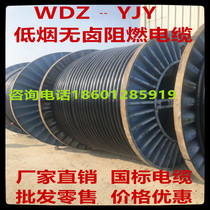 WDZ-YJY low smoke halogen-free copper core cable 3 4 5 Core * 2 5 4 6 10 16 25 50 70 95 flat