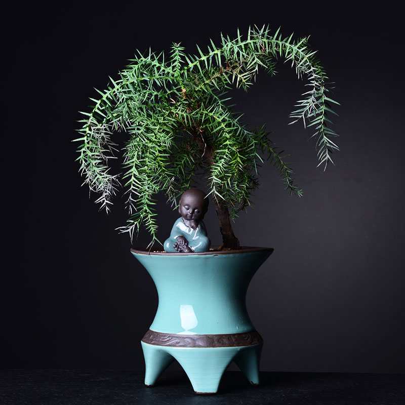 Combination of new Chinese style more creative ceramic flower pot meat asparagus rich tree green plant pot contracted bracketplant wholesale flower pot