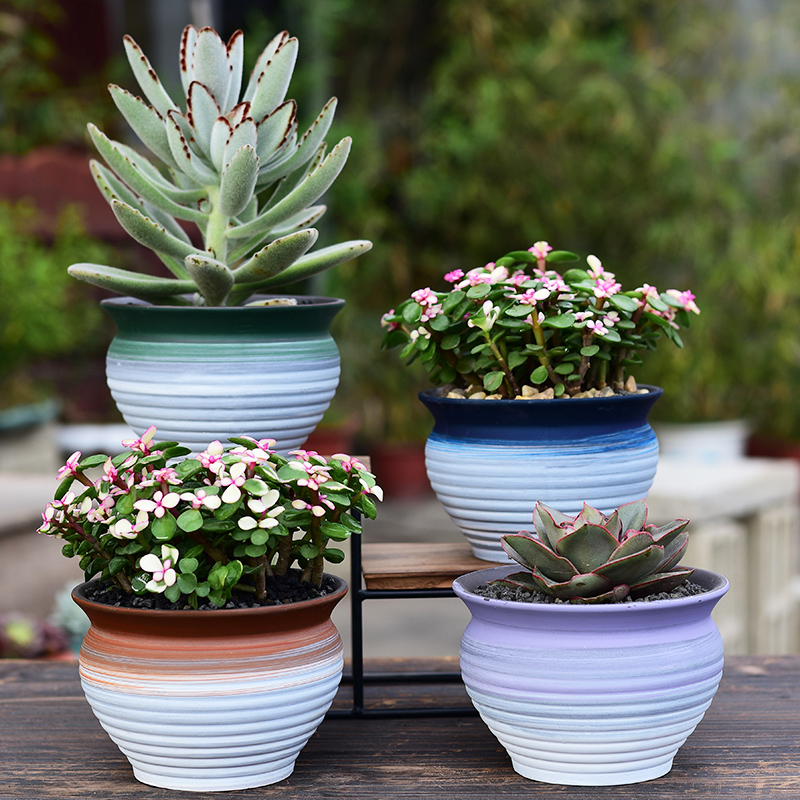 New Chinese style brilliantly coloured purple sand flowerpot more meat ceramic contracted household meat meat plant POTS, green plant, small potted creative