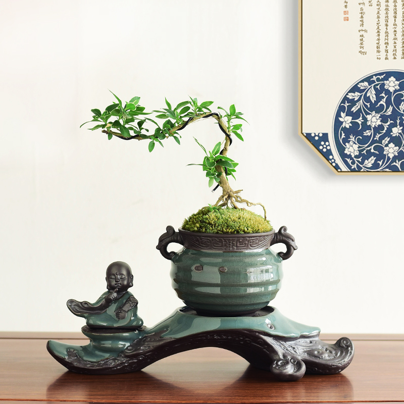 Elder brother up POTS zen composite ceramic creative purple asparagus bonsai pot young monk home furnishing articles in the living room