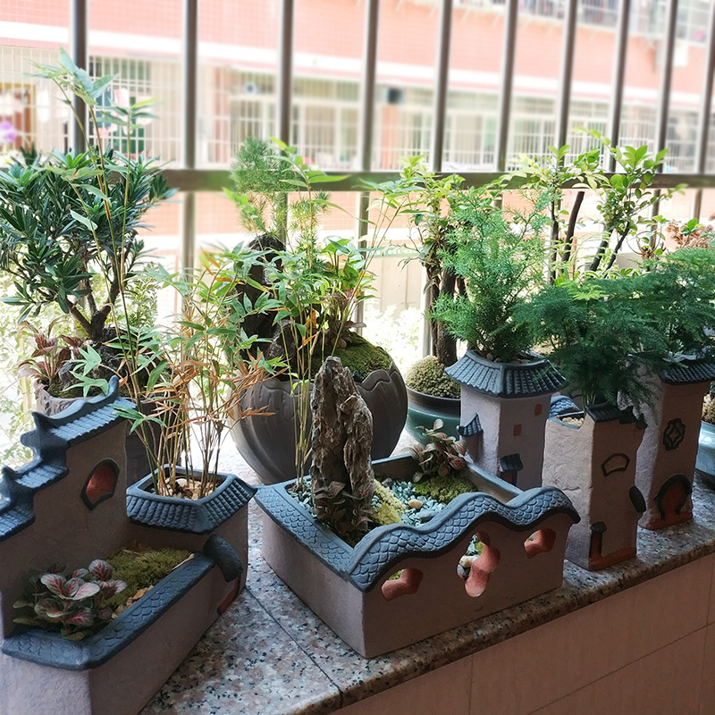 Chinese style restoring ancient ways is more than the old meat pot ceramic creative bonsai asparagus, green meat meat the plants specials coarse pottery flowerpot