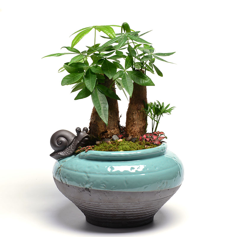 Refers to flower pot ceramic violet arenaceous creative indoor green plant pot large money plant grass cooper nonporous hydroponic container