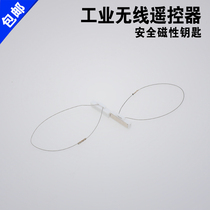 F21-E1B Key magnet Industrial remote control Driving remote control Crane remote control Safety magnetic switch