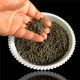 Forcing flowering plants Wang promotional fertilizer plant family home gardening supplies fertilizers Forcing flowering plants Wang promotional fertilizer plant family home gardening supplies fertilizers