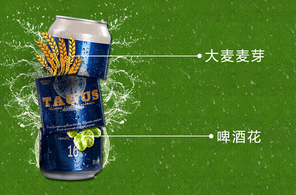 西班牙16度烈性啤酒6听 泰谷原装高度进口啤酒500ml*6瓶罐装_小张