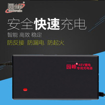 Lithium battery Electric car charger 48V60V24V72V3A42V54 6V Battery car 60V20AH charger