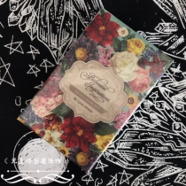 Enlightenment Card of Botanical Inspirations Deck Plant