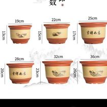 Ceramic flowerpot large clearance purple sand Clivia flower pot special orchid orchid flower pot red pottery flower pot