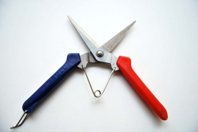 疏花剪 园艺手剪 园林摘果剪 疏果剪特价9.9 修枝剪