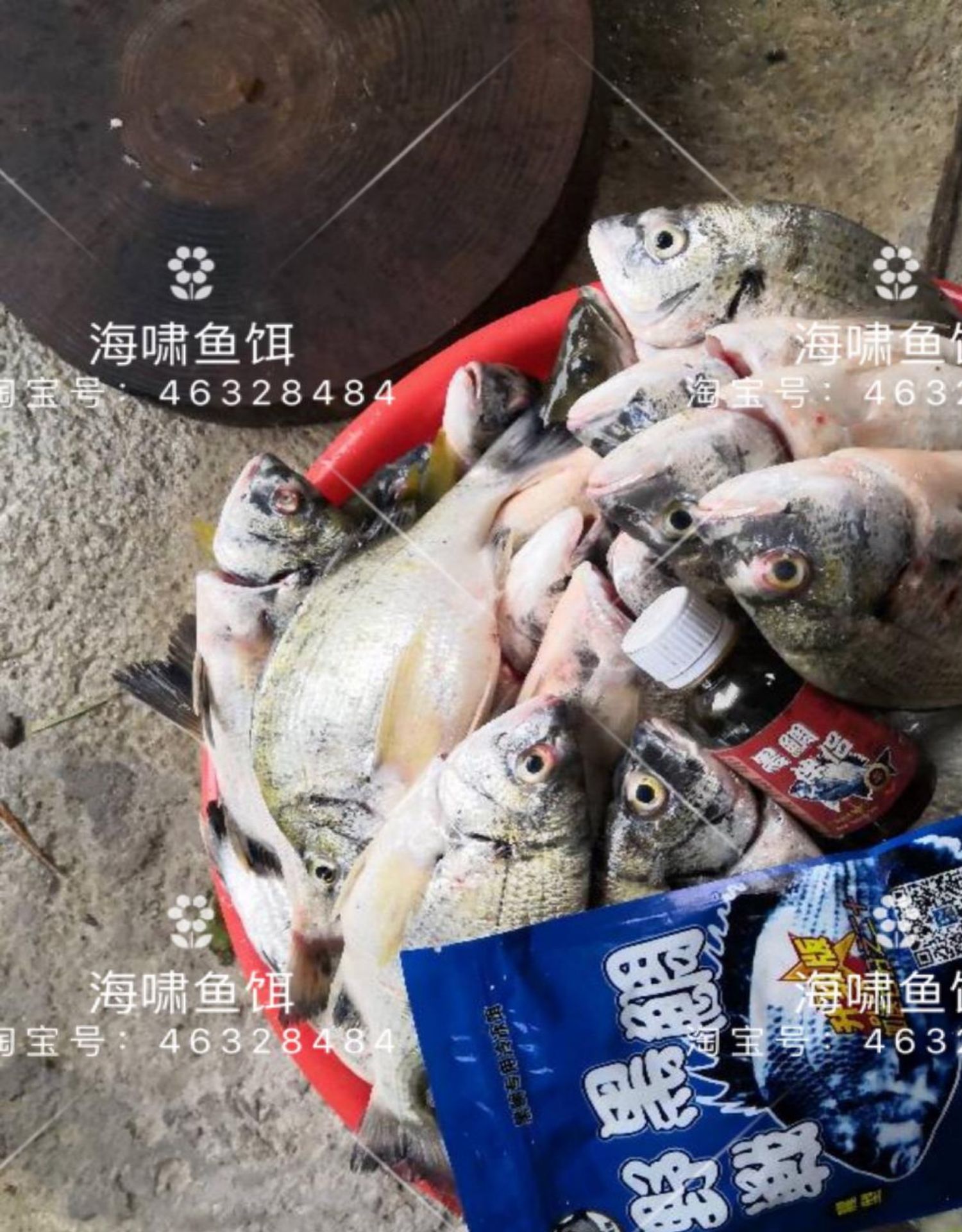血腥素海钓小药乌头鱼饵料诱鱼剂鱼腥素黑鲷伴侣梭鱼小药海钓鱼饵