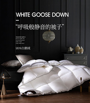 Five-star hotel duvet 95 white goose down winter quilt thickened warm quilt quilt single double duck quilt core