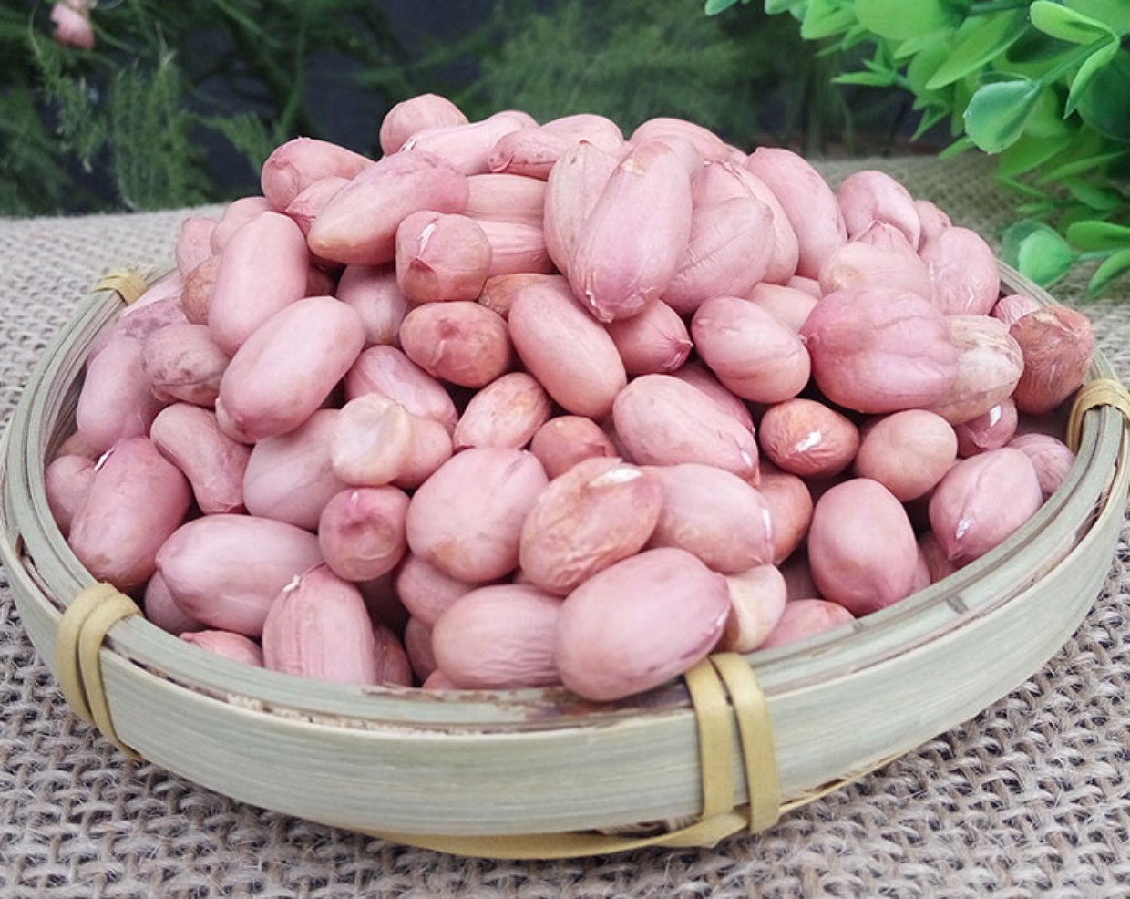 生花生米新货山东农家自种生花生仁零食新鲜大粒5斤散装免运费