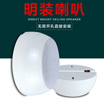 Broadcast background music 10W surface mounted ceiling speaker 6 inch 110V shop ceiling ceiling mounted speaker outer diameter 20