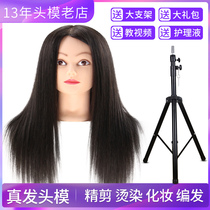 Hairdresser Full Real Hair Apprentice Model Hair Makeup Knitting Practice Hair Wig Cut Doll Head Special Bracket