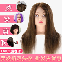 Head Model Hair Dummy Model Hair Real Hair Full Authentic Apprentice Model Hair Cutting Special Practice Hair Cutting Doll Head