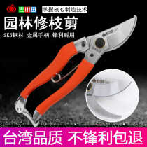 Taiwan Sagawa Tian 168T garden tools Pruning shears Gardening garden scissors Whole branch shears Fruit branch shears coarse branch shears