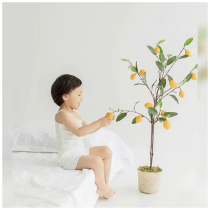 NIS Wind Children Photography Props Baby Photo with Lemon Branches Lemon Trees Themed Decorations Hem