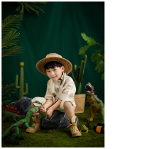 New Children Photography Props Jungle Adventure Boys Kids Dinosaur Subjects Men And Women Photo Shoots of Photography