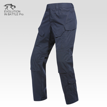 2018 hidden blue frogs pants for the Tigers.