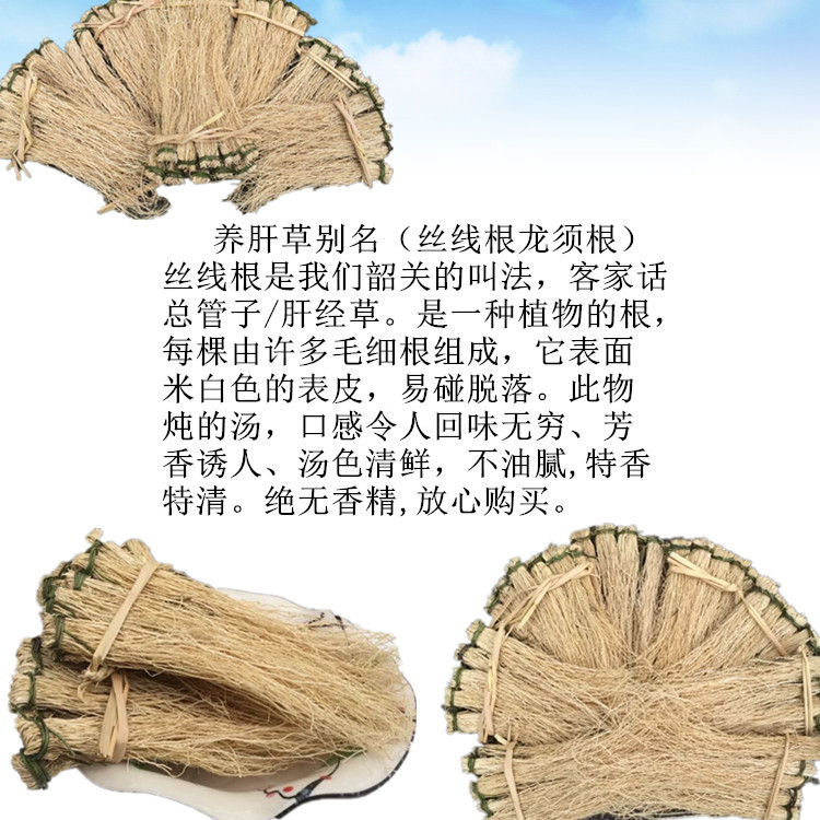 粤北特产自产自销养肝草丝线根龙须草龙须开胃草根汤料1件10扎
