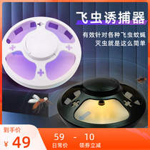 Small flying insect trapping theorizer fly Drosophila Fruit Fly Catcher Flower Pot small black Fly Stars Stick Insect indoor outdoor flowers