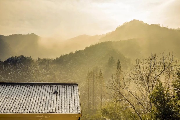 露营玩水萤火虫，完美夏日在这里开启114