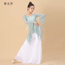 Dance boundless classical dance costume female elegant body rhyme Gong coat